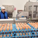 Toneli, gigantul ouălor, investește 40 mil. euro: Ce planuri are?