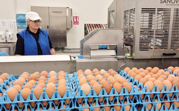 Toneli, gigantul ouălor, investește 40 mil. euro: Ce planuri are?