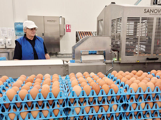 Toneli, gigantul ouălor, investește 40 mil. euro: Ce planuri are?