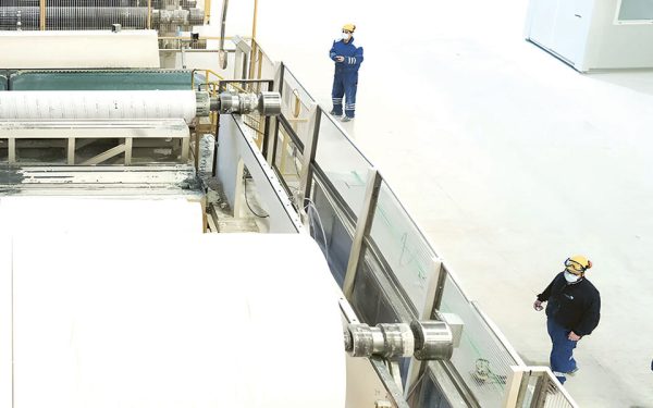 Șoc pe piața hârtiei: Regina, investiție de 10 milioane euro la Călărași