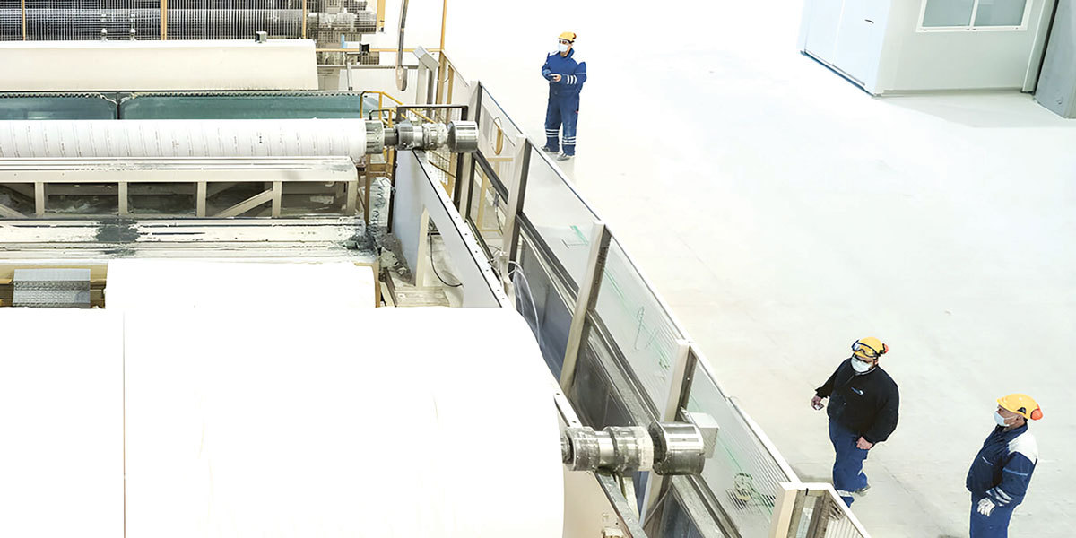 Șoc pe piața hârtiei: Regina, investiție de 10 milioane euro la Călărași