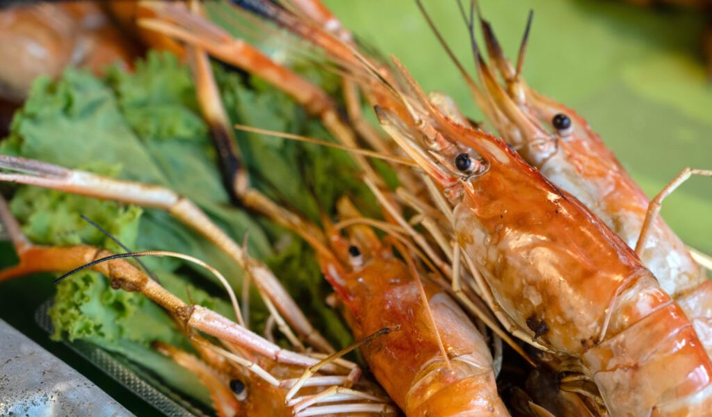 Deșeurile pescăriei, transformate în delicatese: Oportunitate alimentară în Europa