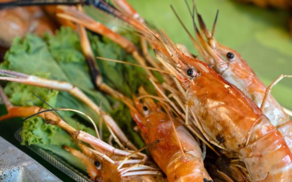 Deșeurile pescăriei, transformate în delicatese: Oportunitate alimentară în Europa