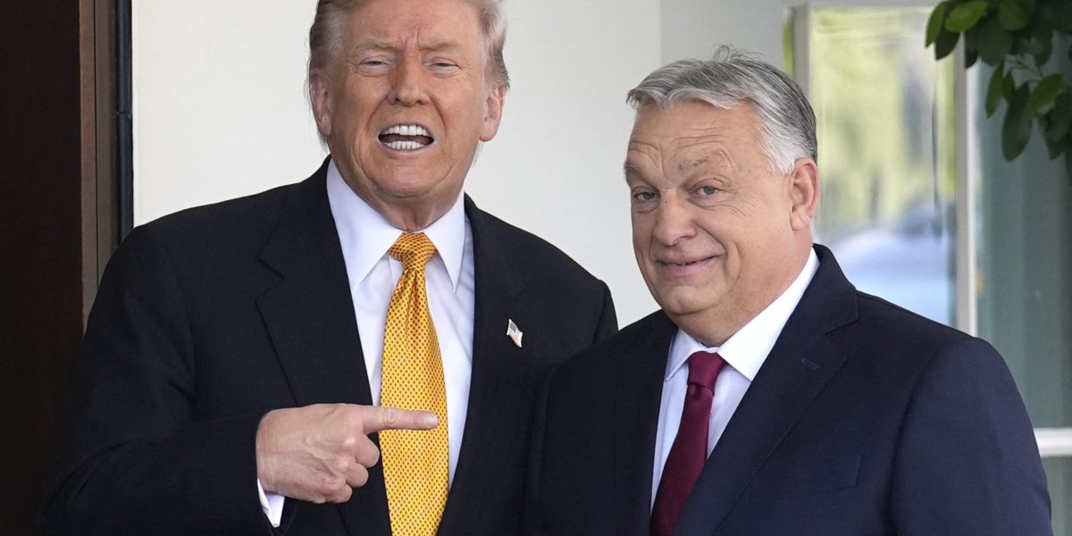 DONALD Trump laudă politicile lui Viktor Orban, premierul Ungariei, descriindu-l drept un lider puternic, cu rezultate concrete