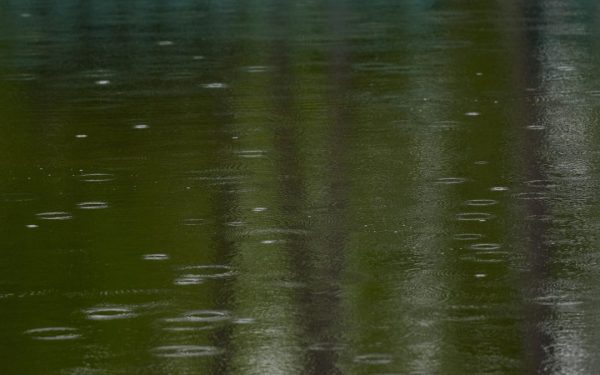 Prognoza meteo pentru Augusta, pregătire pentru Masters