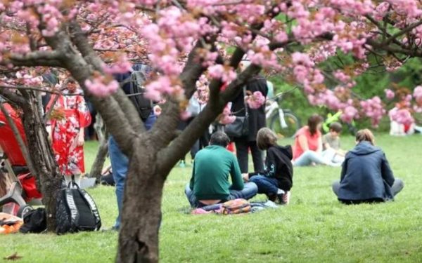 Tradiția secolară din Japonia ajunge în România: Ce ne învață strămoșii