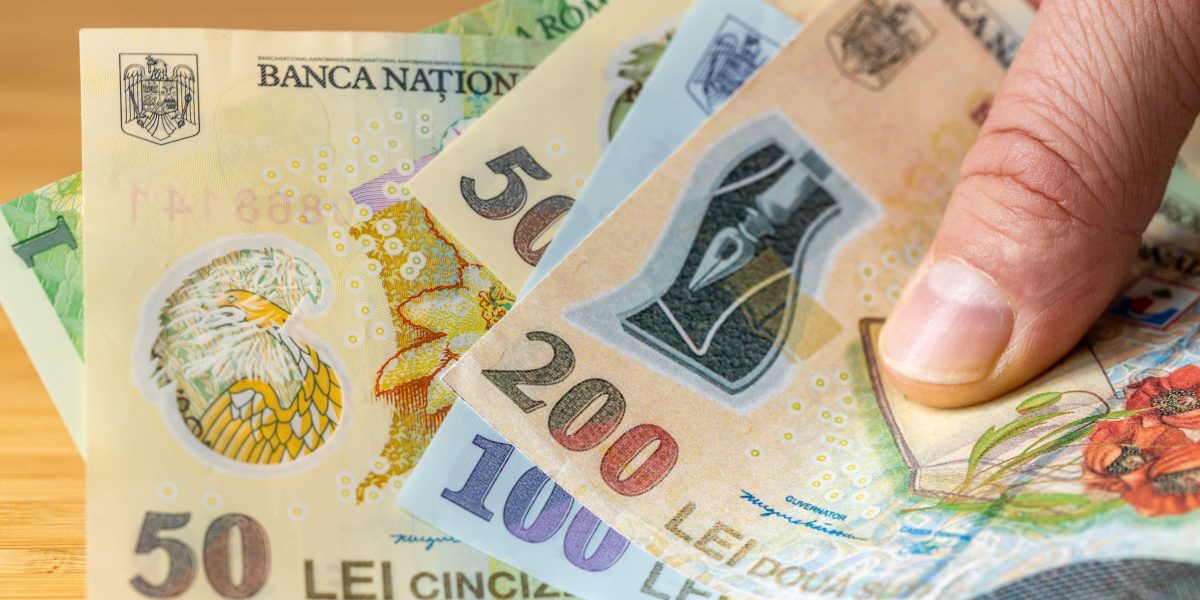 Banca Națională, anchetă amplă: 12.000 de gospodării, analizate financiar