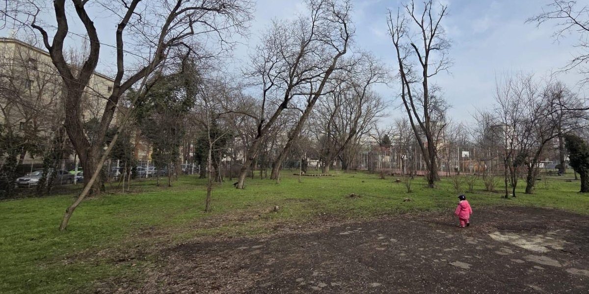 Primăria Sectorului 1 a declarat că nu are atribuții directe în gestionarea Bazei Sportive Cireșarii, aflate în administrarea Ministerului Educației, în timp ce asociația Părinți de Cireșari avertizează asupra unui blocaj administrativ prelungit privind reparațiile și reabilitarea terenuluisportiv