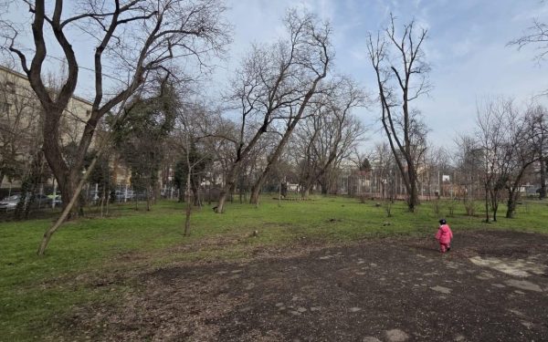 Primăria Sectorului 1 a declarat că nu are atribuții directe în gestionarea Bazei Sportive Cireșarii, aflate în administrarea Ministerului Educației, în timp ce asociația Părinți de Cireșari avertizează asupra unui blocaj administrativ prelungit privind reparațiile și reabilitarea terenuluisportiv