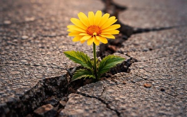 Bunătatea, o formă de rezistență: Cum înfruntă oamenii greutățile