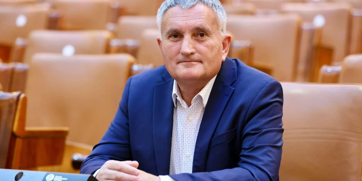 Deputat PNL, chemat la mobilizare: Acuza PSD de tentativă de destabilizare, ce e cu rezerviștii?