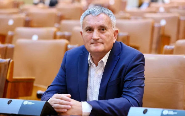 Deputat PNL, chemat la mobilizare: Acuza PSD de tentativă de destabilizare, ce e cu rezerviștii?