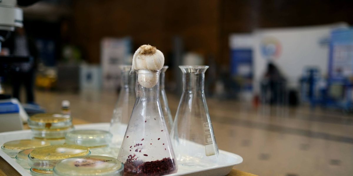 Biofest 2026 la POLITEHNICA: Mâncarea viitorului, testată la București