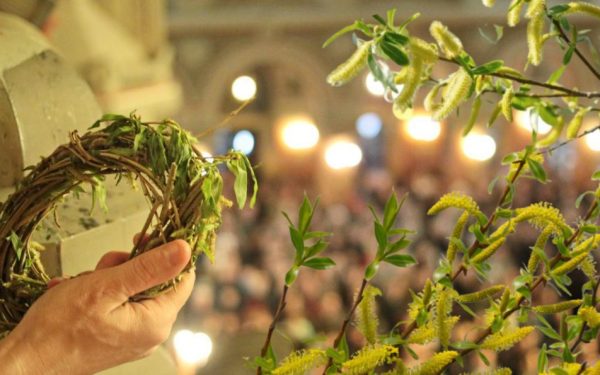 Salcia sfințită de Florii continuă să fie o tradiție vie în casele românilor, având și valențe spirituale, și superstițioase