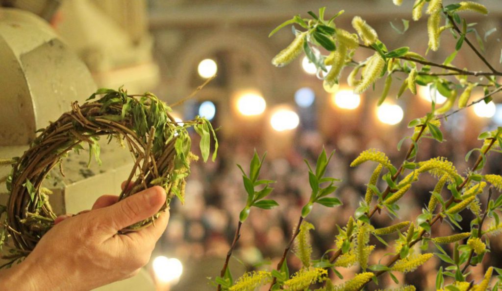 Salcia sfințită de Florii continuă să fie o tradiție vie în casele românilor, având și valențe spirituale, și superstițioase