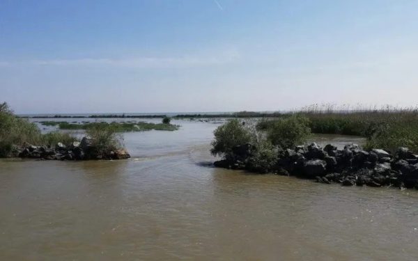 Administrația Rezervației Biosferei Delta Dunării a anunțat instituirea prohibiției pentru pescuit în habitatele acvatice naturale, începând cu data de 9 aprilie 2026