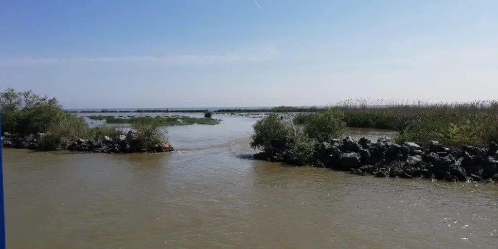 Administrația Rezervației Biosferei Delta Dunării a anunțat instituirea prohibiției pentru pescuit în habitatele acvatice naturale, începând cu data de 9 aprilie 2026