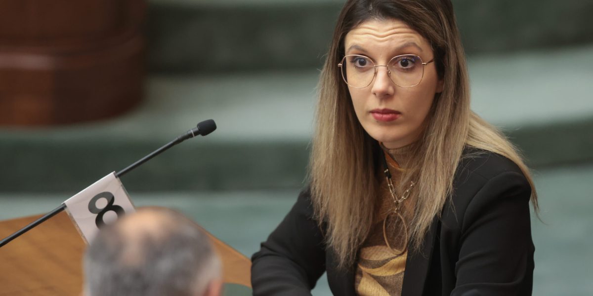 Atac la arbori: Tăierea ilegală, inclusiv pe teren privat, devine infracțiune