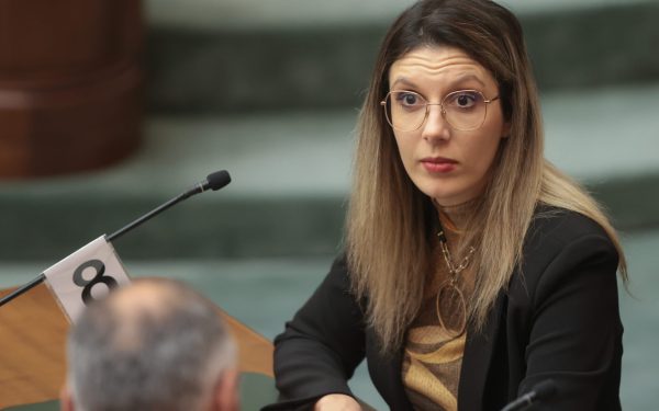 Atac la arbori: Tăierea ilegală, inclusiv pe teren privat, devine infracțiune