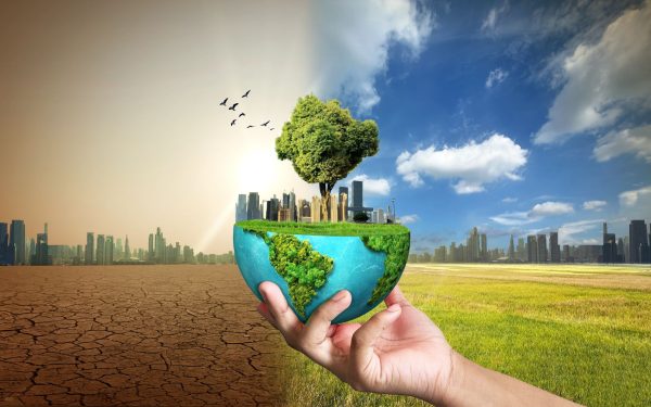 Un nou studiu publicat în revista Molecular Biology and Evolution arată că efectele schimbărilor climatice se resimt de-a lungul mai multor generații, accelerând potențial procesul evoluției animalelor