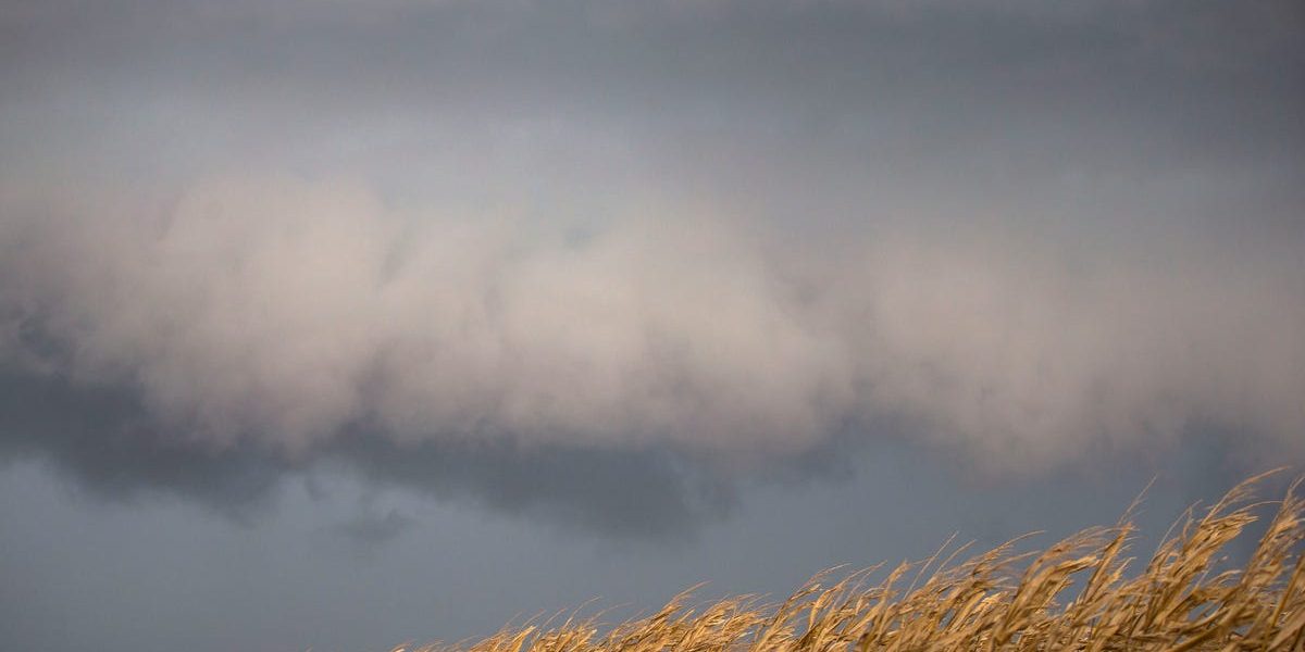 Zona Springfield se află sub atenționare de vreme severă după ce, înalte riscuri de tornade și furtuni cu vijelie au fost anunțate pentru această după-amiază, conform informațiilor transmise de Serviciul Național de Meteorologie din Illinois