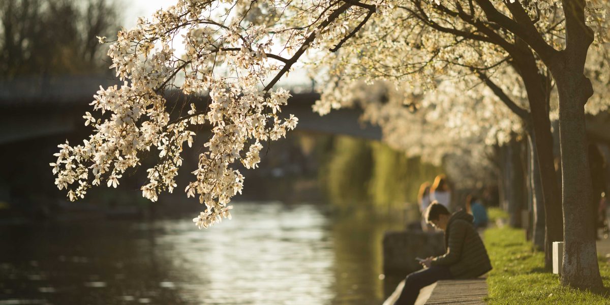 Temperaturile vor fi uşor mai scăzute decât cele obișnuite în cea mai mare parte a țării în perioada sărbătorilor de Paște, potrivit prognozei publicate vineri de Administrația Națională de Meteorologie (ANM)