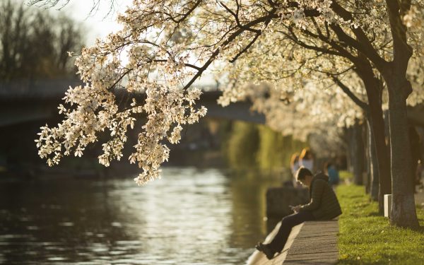 Temperaturile vor fi uşor mai scăzute decât cele obișnuite în cea mai mare parte a țării în perioada sărbătorilor de Paște, potrivit prognozei publicate vineri de Administrația Națională de Meteorologie (ANM)