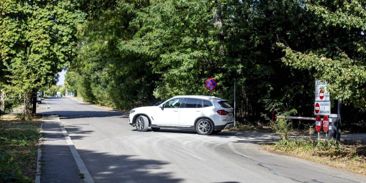Romsilva taie accesul auto în Pădurea Băneasa: Ce se întâmplă cu Greenfield