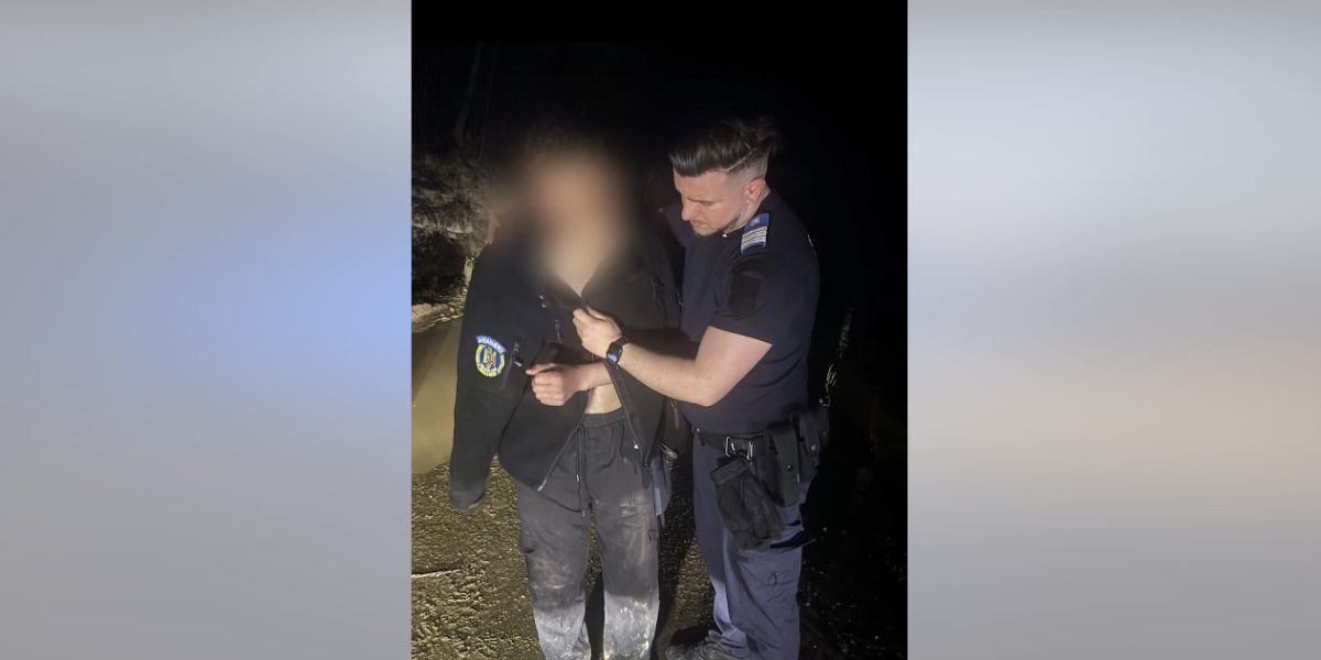 Urs fioros, urmărire ca-n filme: Tânăr salvat de jandarmi în România!