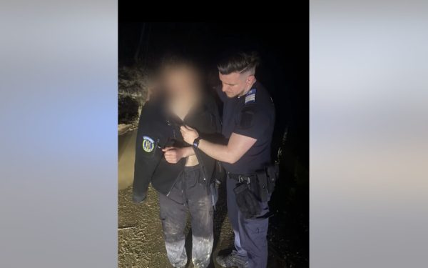 Urs fioros, urmărire ca-n filme: Tânăr salvat de jandarmi în România!