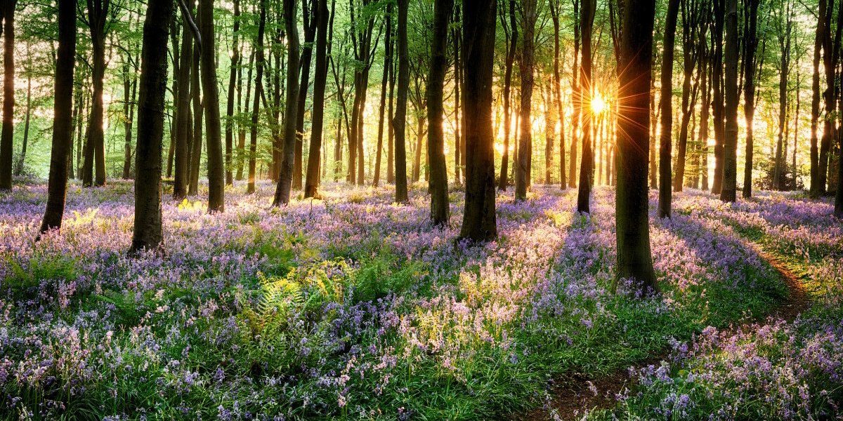 Vremea din România va suferi modificări semnificative în următoarele patru săptămâni, după valul de răcire de la începutul lunii aprilie