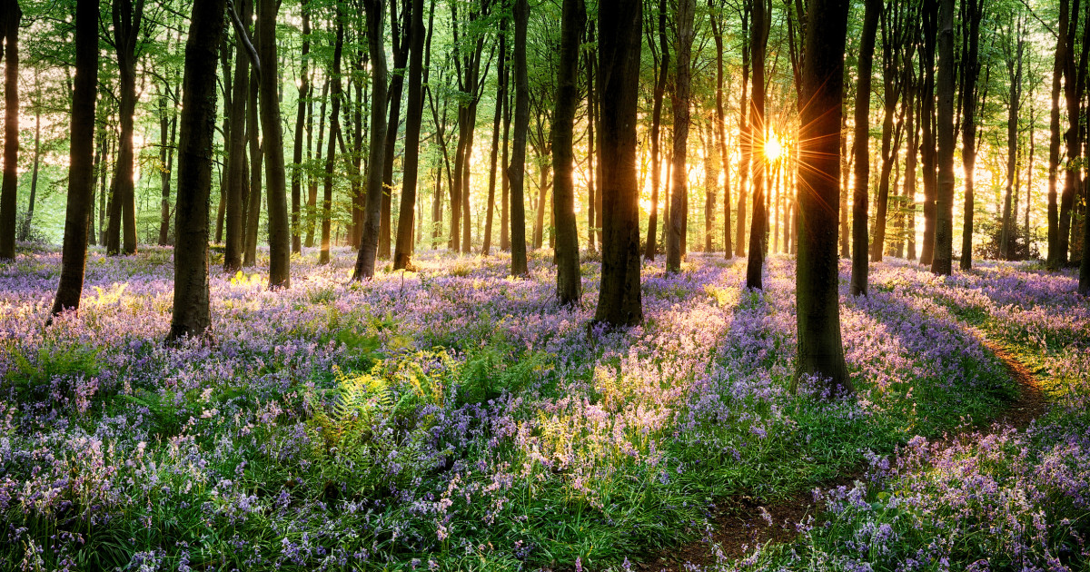 Vremea din România va suferi modificări semnificative în următoarele patru săptămâni, după valul de răcire de la începutul lunii aprilie