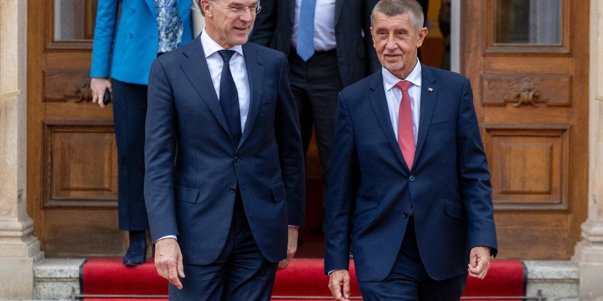 Babis: Cehia respectă NATO, dar taie fondurile Apărării