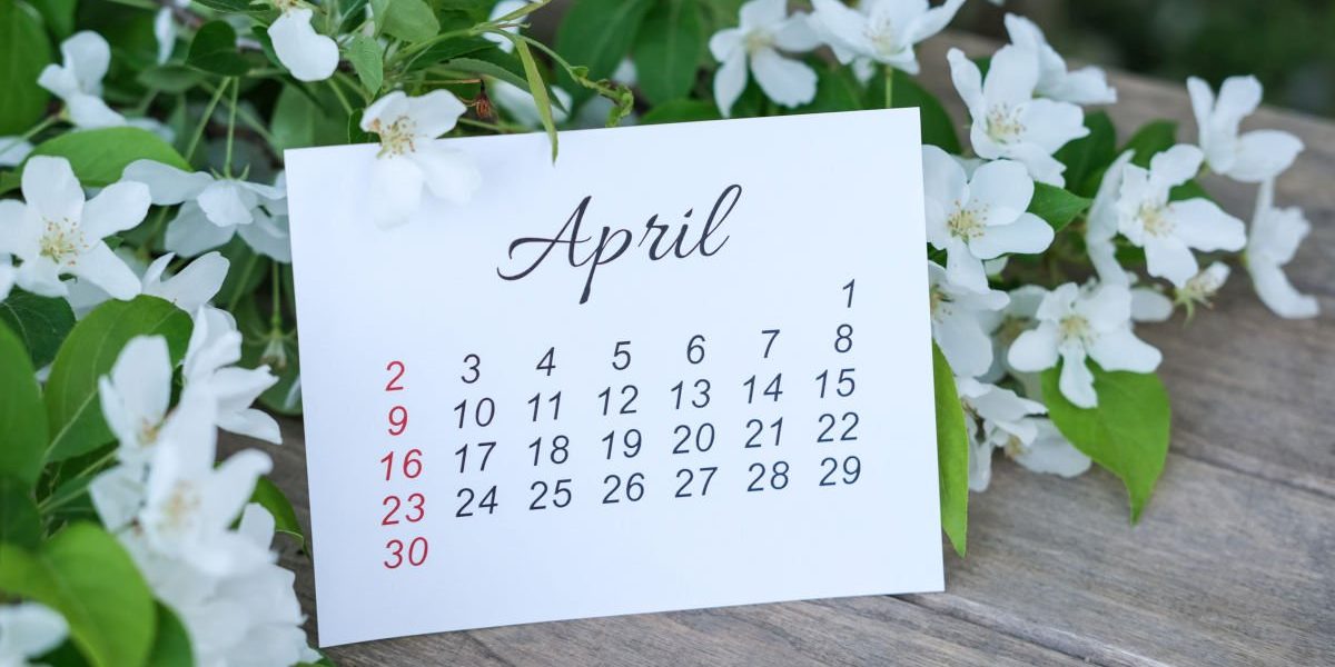 Pe data de 5 aprilie 2026, creștinii ortodocși din întreaga țară vor sărbători Duminica Floriilor, una dintre cele mai așteptate zile ale calendarului religios