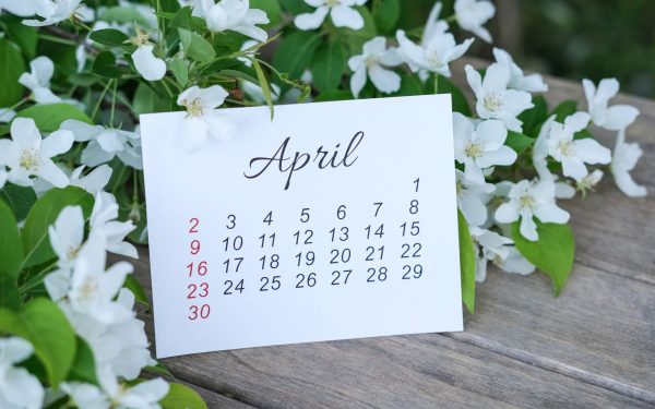 Pe data de 5 aprilie 2026, creștinii ortodocși din întreaga țară vor sărbători Duminica Floriilor, una dintre cele mai așteptate zile ale calendarului religios