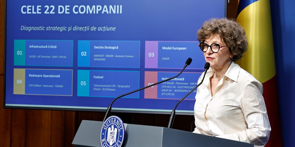 Oana Gheorghiu: Conductă furată, statul tot plătește mii de euro anual
