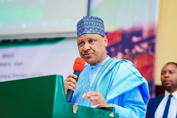Nigeria rezistă: Progrese vizibile, anunță guvernul