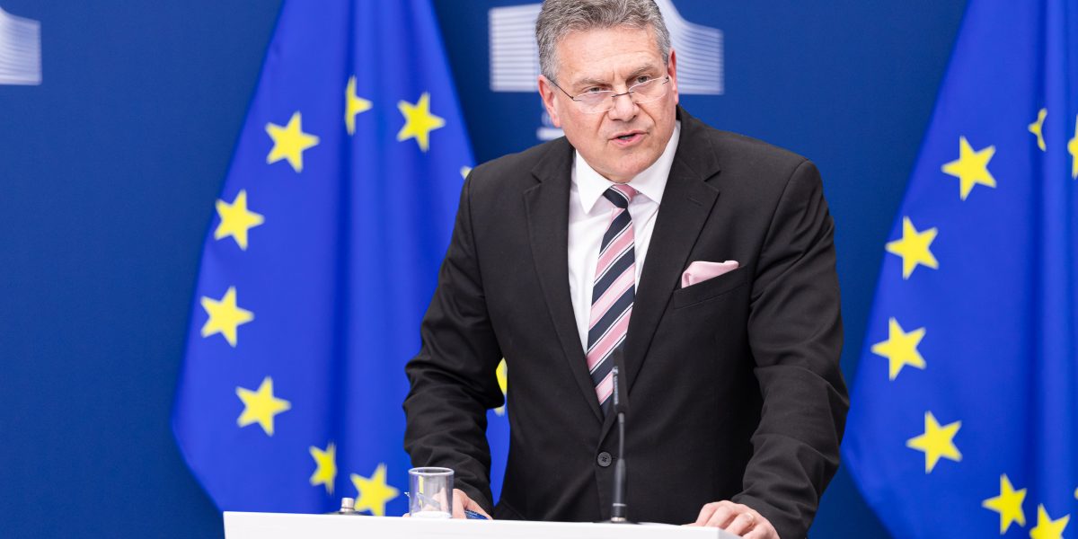 UE și Coreea de Sud: Parteneriat strategic pe tehnologie și securitate economică