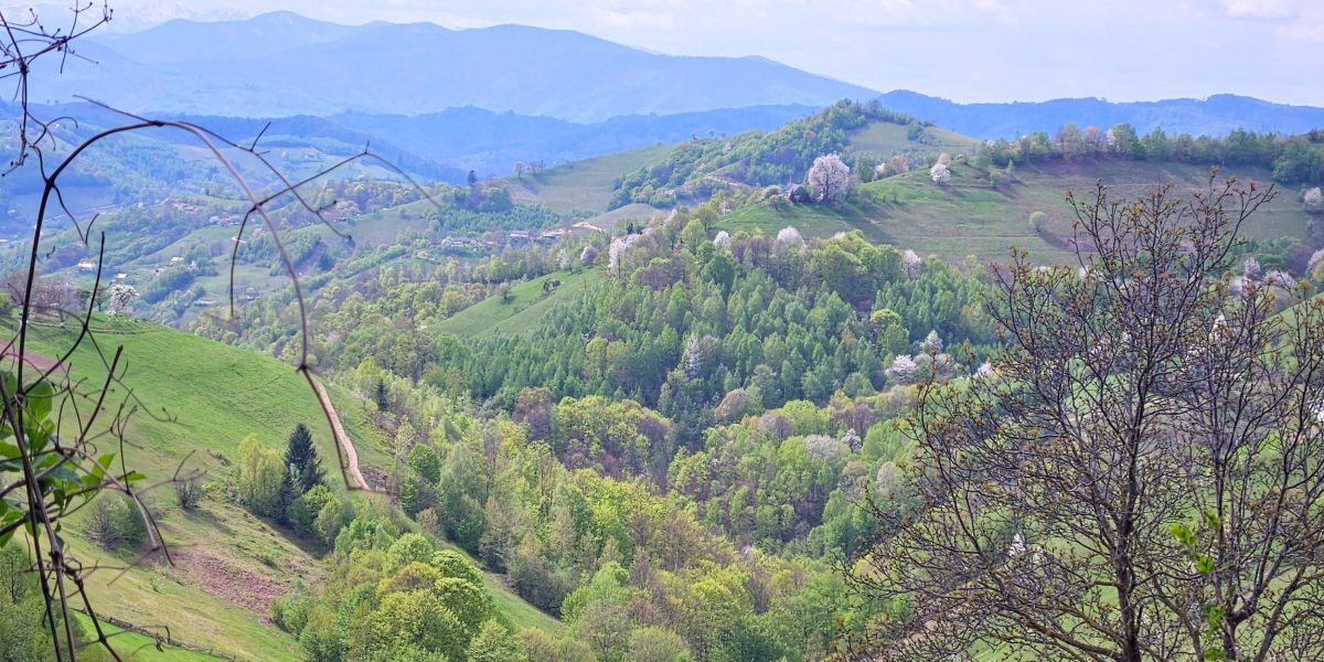 România se pregătește pentru o serie de zile libere în primul semestru al anului 2026, perioadă în care majoritatea salariaților vor beneficia de minivacanțe consecutive