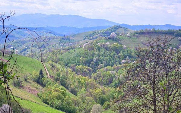 România se pregătește pentru o serie de zile libere în primul semestru al anului 2026, perioadă în care majoritatea salariaților vor beneficia de minivacanțe consecutive