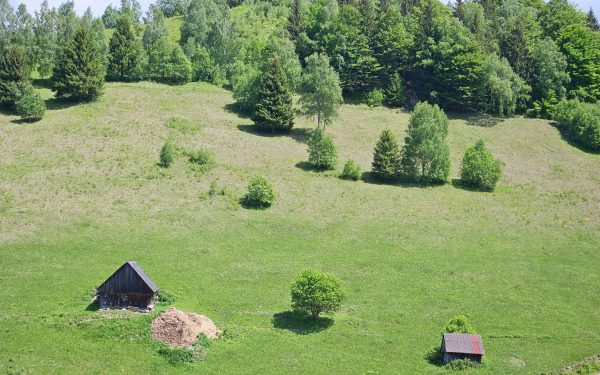 Vremea în România: Prognoza detaliată pentru următoarele două săptămâni