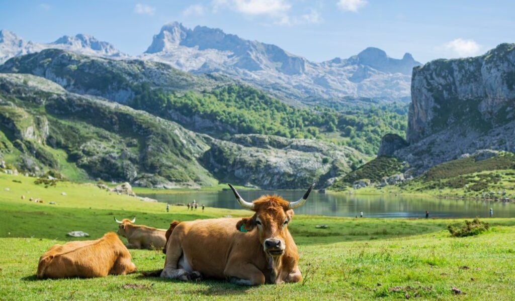 Locul ULUITOR din Europa, numit cel mai frumos din lume! Pare desprins din povești