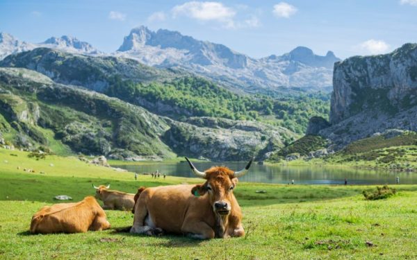 Locul ULUITOR din Europa, numit cel mai frumos din lume! Pare desprins din povești