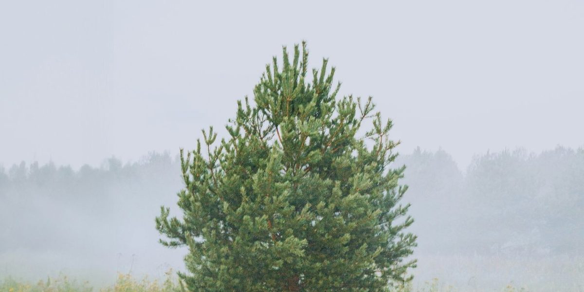 Prognoza meteo: Michigan, ATENȚIE. Ce aduce vremea în aprilie