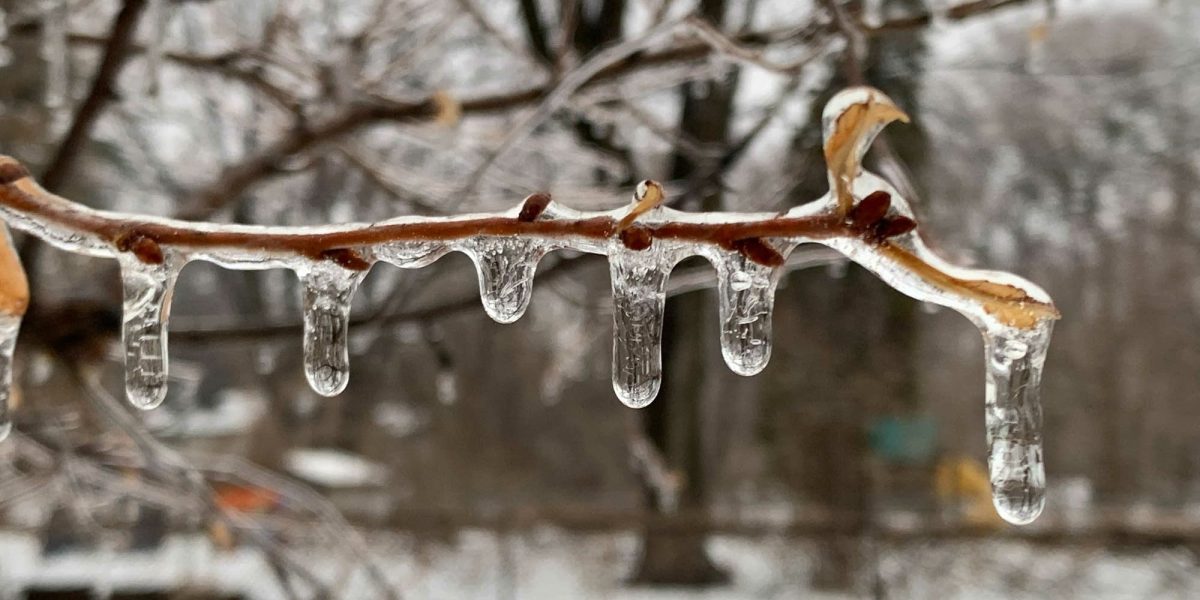 Autorii de newsletter-e și campanii de marketing trebuie să fie transparenți cu privire la condițiile de consimțământ și utilizarea datelor personale, aducând în discuție recentă o declarație de confidențialitate emisă de către organizațiile MPR și APMG