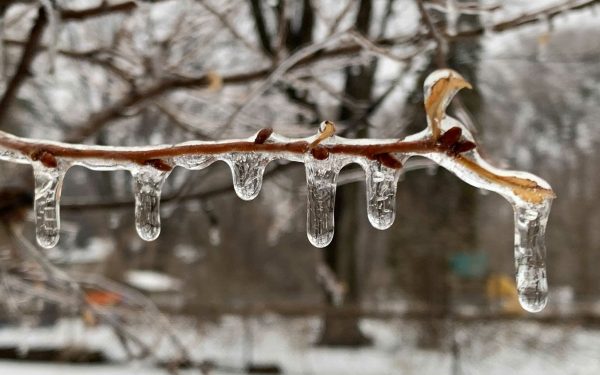 Autorii de newsletter-e și campanii de marketing trebuie să fie transparenți cu privire la condițiile de consimțământ și utilizarea datelor personale, aducând în discuție recentă o declarație de confidențialitate emisă de către organizațiile MPR și APMG