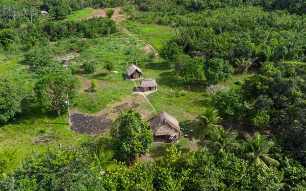Drumuri antice, vechi de 2.700 ani, scoase la lumină în Amazon