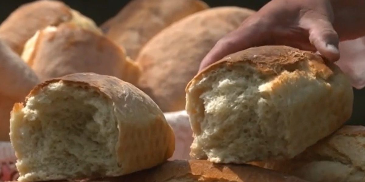 Banatul, regiune gastronomică EUROPEANĂ din 2028: Victorie istorică pentru România