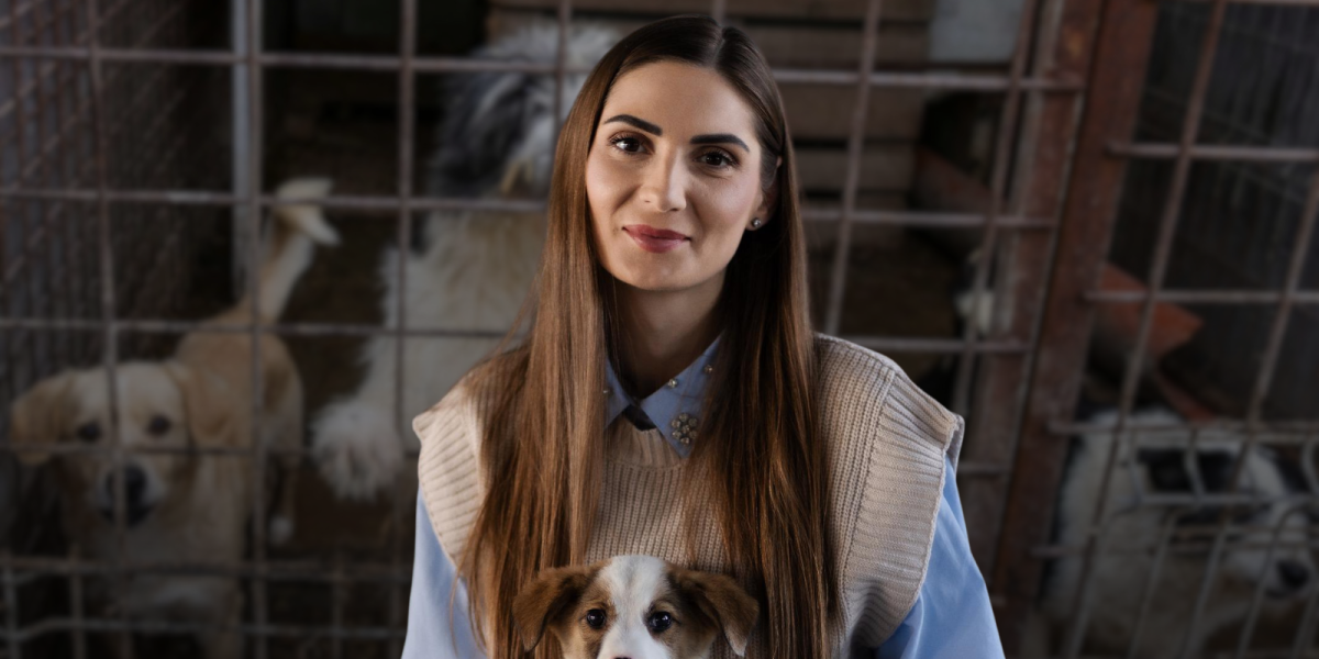 Scandalul „abatoarelor de câini” din Suraia și Uzunu a adus în prim-plan o problemă mai largă a managementului câinilor fără stăpân în România