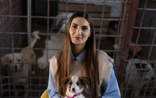 Scandalul „abatoarelor de câini” din Suraia și Uzunu a adus în prim-plan o problemă mai largă a managementului câinilor fără stăpân în România